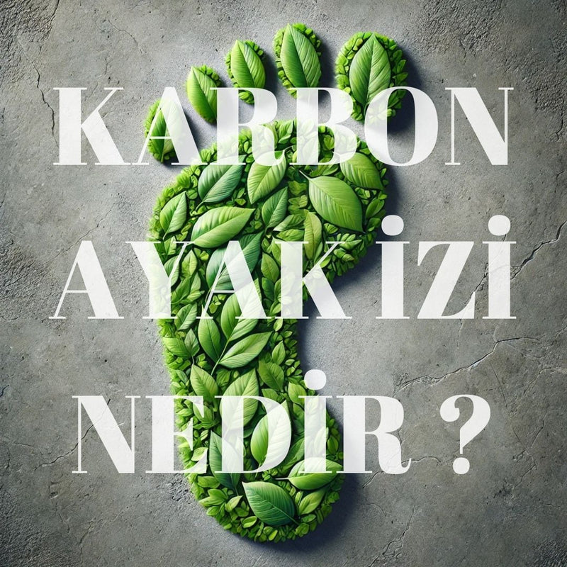 Karbon Ayak İzi Nedir?