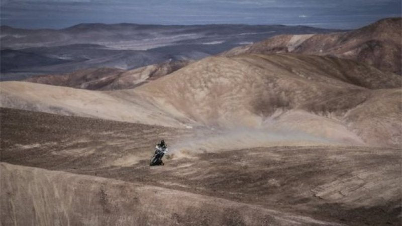 Dünyanın en kurak çölü Atacama çiçek açtı